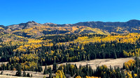 Foliage along route 17