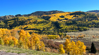 Foliage along route 17