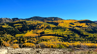 Foliage along route 17