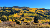 Foliage along route 17