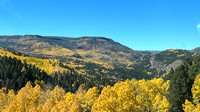 Aspens on route 17