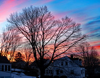 Woburn winter sunrise