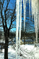 Icicles in my backyard