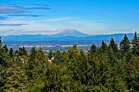 Mt. St. Helens in distance