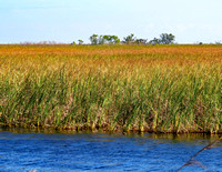 Florida: Everglades
