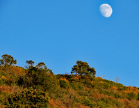 Moon over mountain