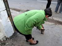 Pat petting cat, Havana, Cuba