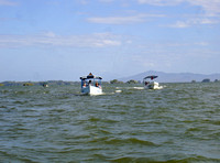 Approaching boats