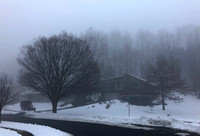 Tree and house in fog