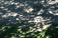 Eclipse crescents