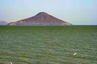 Momotombito volcano and bird