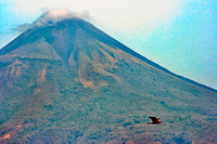 Blue heron and Momotombo zoom