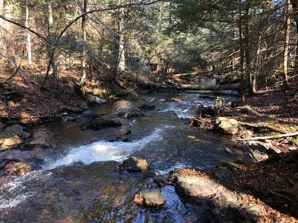 Upper part of Ganoga Glen branch of Kitchens Creek