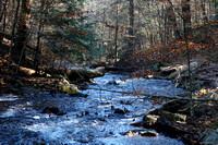 Ganoga Glen branch of Kitchens Creek