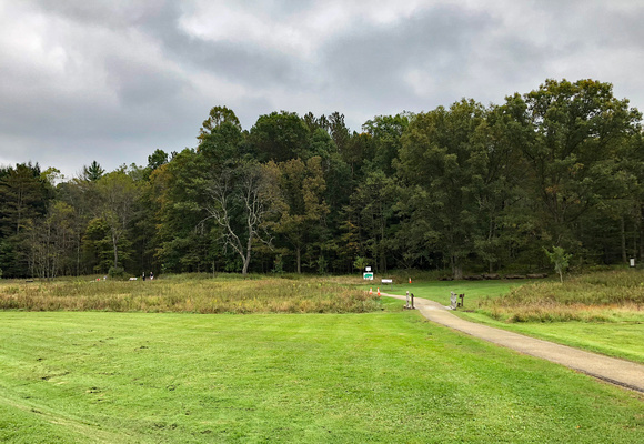 Woods outside the fort