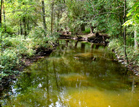 Michigan stream
