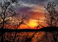 Susquehanna silhouetted trees