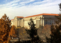 Department of Justice from the Museum of Natural History