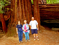 Big Basin Lynette Doreeen Adam and redwoods