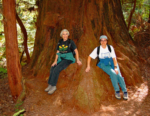 Butano State Park Doreen and Lynette