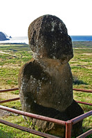 Baby moai